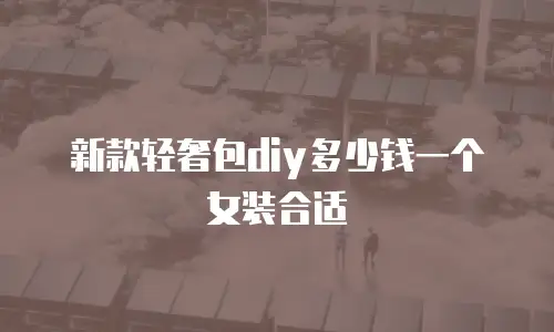 新款轻奢包diy多少钱一个女装合适