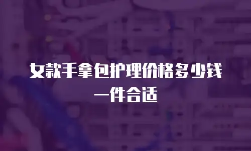 女款手拿包护理价格多少钱一件合适