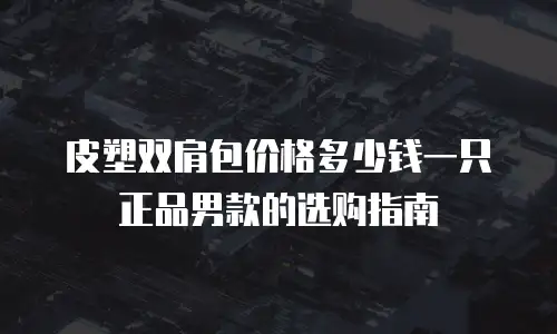 皮塑双肩包价格多少钱一只正品男款的选购指南