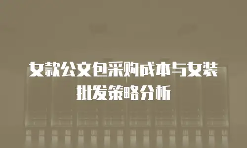女款公文包采购成本与女装批发策略分析