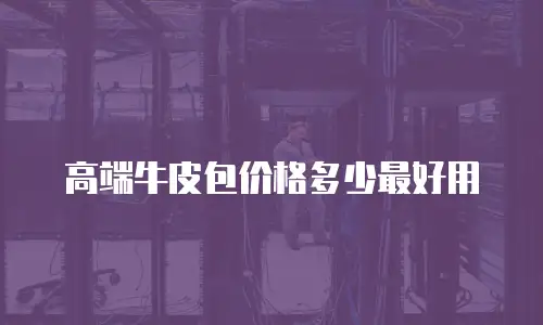 高端牛皮包价格多少最好用