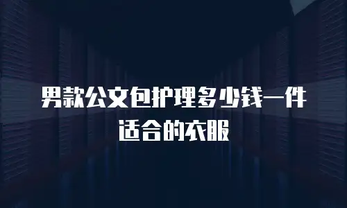 男款公文包护理多少钱一件适合的衣服