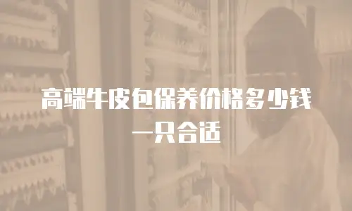 高端牛皮包保养价格多少钱一只合适