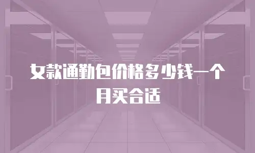 女款通勤包价格多少钱一个月买合适