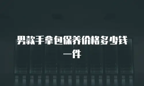男款手拿包保养价格多少钱一件