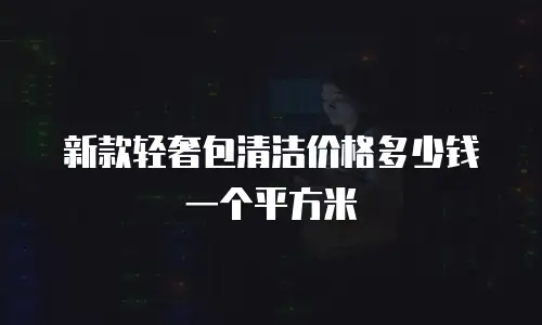 新款轻奢包清洁价格多少钱一个平方米