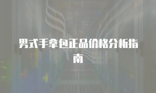 男式手拿包正品价格分析指南