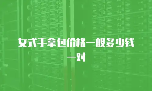 女式手拿包价格一般多少钱一对