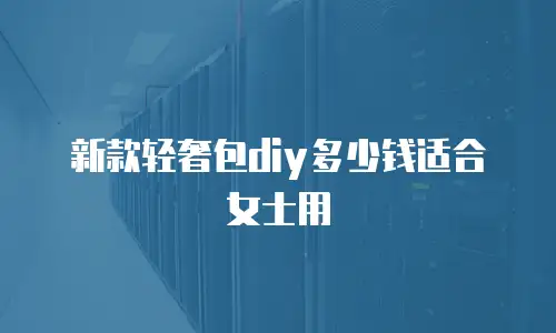 新款轻奢包diy多少钱适合女士用