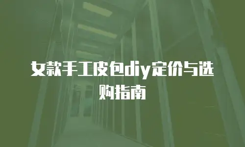 女款手工皮包diy定价与选购指南