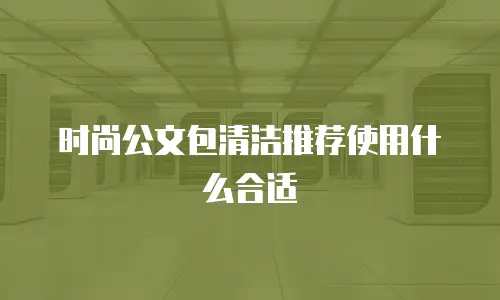 时尚公文包清洁推荐使用什么合适