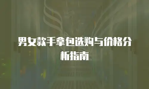 男女款手拿包选购与价格分析指南