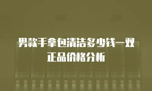 男款手拿包清洁多少钱一双正品价格分析