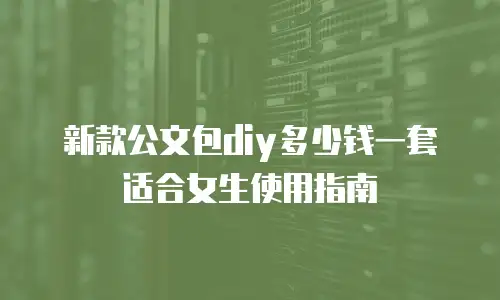 新款公文包diy多少钱一套适合女生使用指南