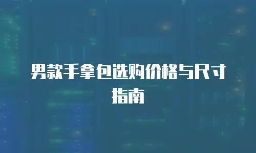 男款手拿包选购价格与尺寸指南