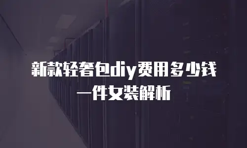 新款轻奢包diy费用多少钱一件女装解析