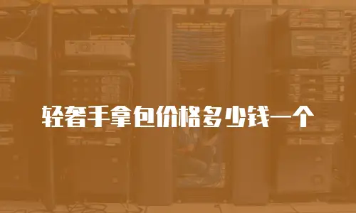 轻奢手拿包价格多少钱一个