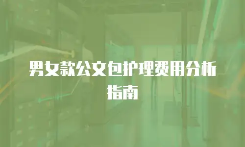 男女款公文包护理费用分析指南