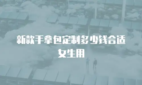 新款手拿包定制多少钱合适女生用