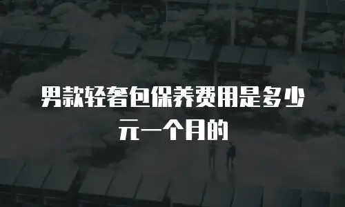 男款轻奢包保养费用是多少元一个月的