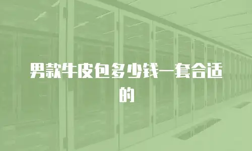 男款牛皮包多少钱一套合适的