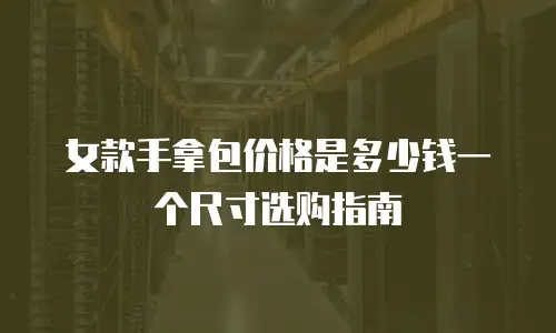 女款手拿包价格是多少钱一个尺寸选购指南