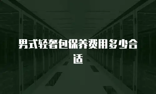 男式轻奢包保养费用多少合适