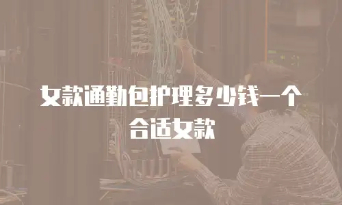 女款通勤包护理多少钱一个合适女款