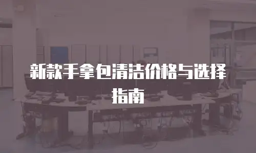 新款手拿包清洁价格与选择指南