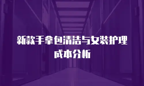 新款手拿包清洁与女装护理成本分析