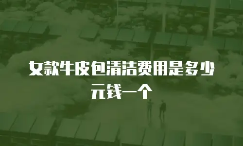 女款牛皮包清洁费用是多少元钱一个