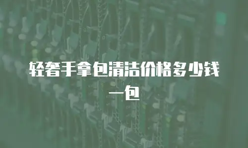 轻奢手拿包清洁价格多少钱一包