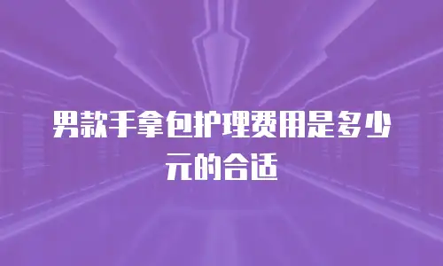 男款手拿包护理费用是多少元的合适
