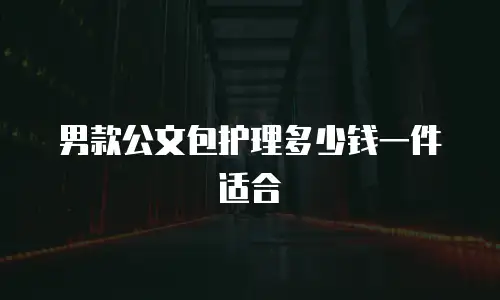 男款公文包护理多少钱一件适合