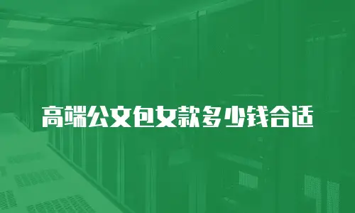 高端公文包女款多少钱合适