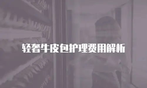 轻奢牛皮包护理费用解析
