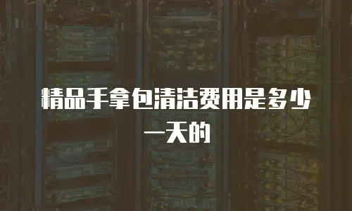精品手拿包清洁费用是多少一天的
