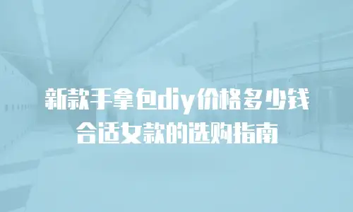 新款手拿包diy价格多少钱合适女款的选购指南