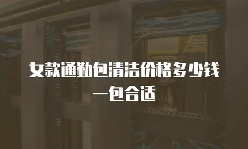 女款通勤包清洁价格多少钱一包合适