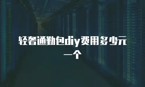 轻奢通勤包diy费用多少元一个
