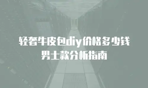 轻奢牛皮包diy价格多少钱男士款分析指南