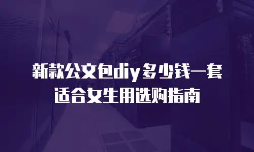 新款公文包diy多少钱一套适合女生用选购指南