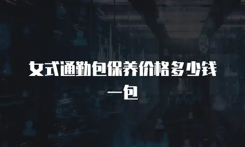 女式通勤包保养价格多少钱一包