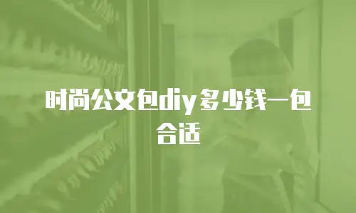 时尚公文包diy多少钱一包合适