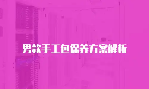 男款手工包保养方案解析