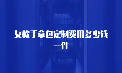 女款手拿包定制费用多少钱一件