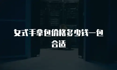 女式手拿包价格多少钱一包合适
