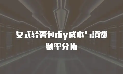 女式轻奢包diy成本与消费频率分析