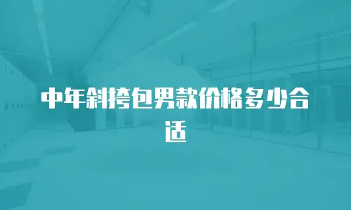 中年斜挎包男款价格多少合适