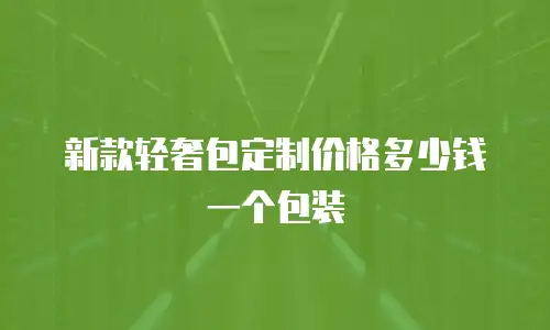 新款轻奢包定制价格多少钱一个包装